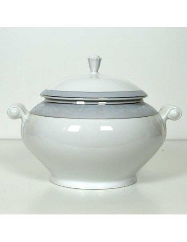 VAJILLA DE PORCELANA 83 PIEZAS