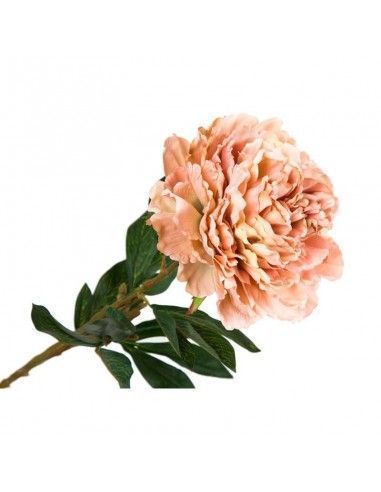 FLOR PEONCIA