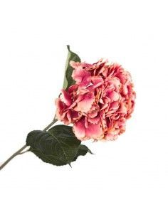 FLOR HORTENSIA ROSA