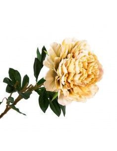 FLOR PEONCIA 2