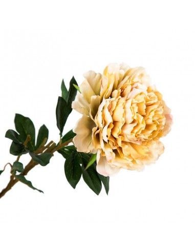 FLOR PEONCIA