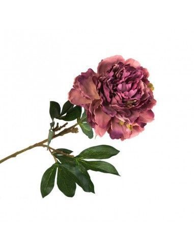 FLOR PEONCIA