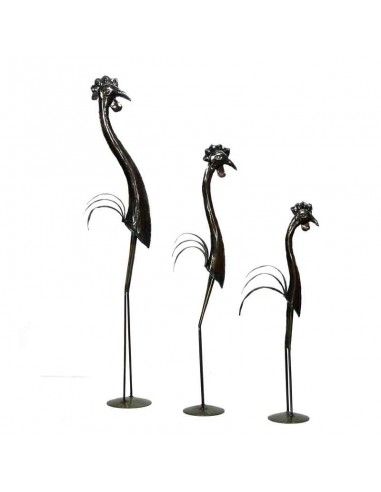 FIGURA GALLO