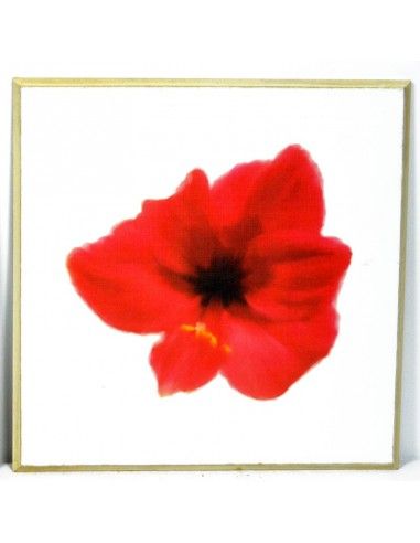 CUADRO AMAPOLA Y MARGARITA SET DE DOS 30x30