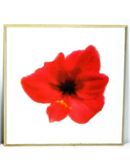 CUADRO AMAPOLA Y MARGARITA SET DE DOS 30x30