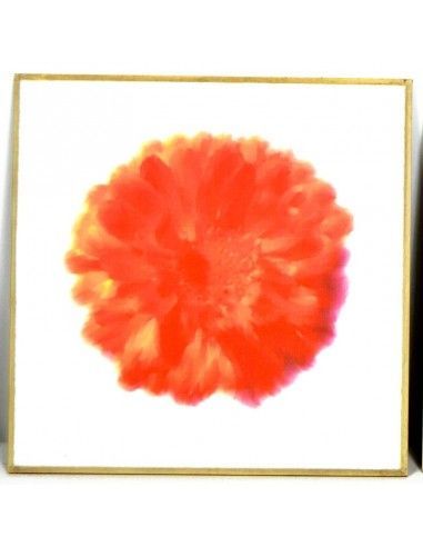 CUADRO MODERNO MARGARITA ROJA SET DE DOS 30x30