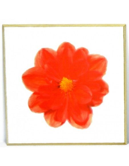 CUADRO MODERNO MARGARITA ROJA SET DE DOS 30x30