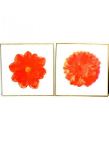 CUADRO MODERNO MARGARITA ROJA SET DE DOS 30x30