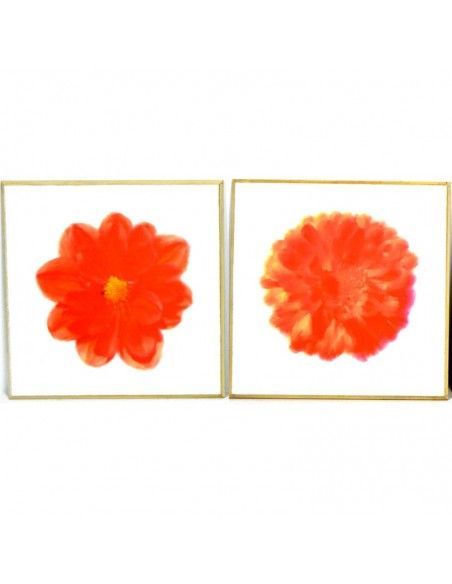 CUADRO MODERNO MARGARITA ROJA SET DE DOS 30x30