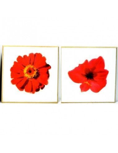 CUADRO AMAPOLA Y MARGARITA SET DE DOS 30x30