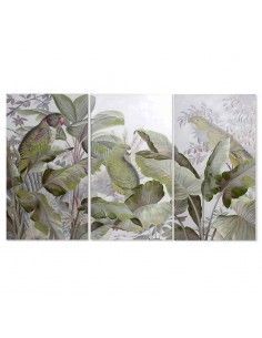 SET DE TRES CUADROS COTORRAS 120X60