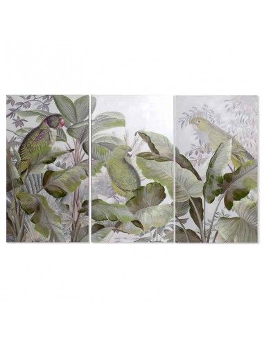 SET DE TRES CUADROS COTORRAS 120X60