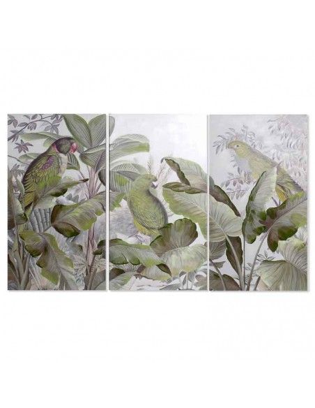 SET DE TRES CUADROS COTORRAS 120X60