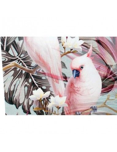 SET DE DOS CUADROS LORO CACATUA 60x60