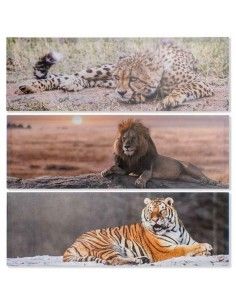 SET CUADRO ANIMALES SALVAJES 30X90