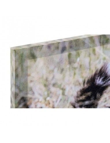 SET CUADRO ANIMALES SALVAJES 30X90