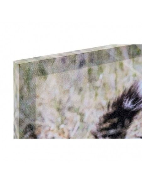 SET CUADRO ANIMALES SALVAJES 30X90