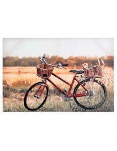 CUADRO BICICLETA 3D 90X60