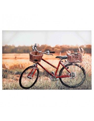 CUADRO BICICLETA 3D 90X60