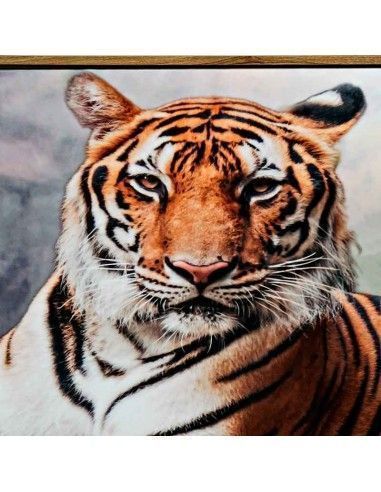 SET CUADRO EN LIENZO TIGRE 40X120