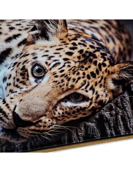 SET CUADRO EN LIENZO TIGRE 40X120