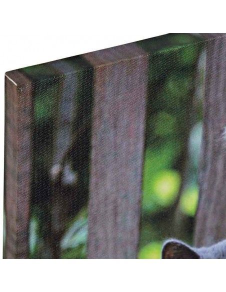SET 3 CUADROS GATOS y PERRO 40x30