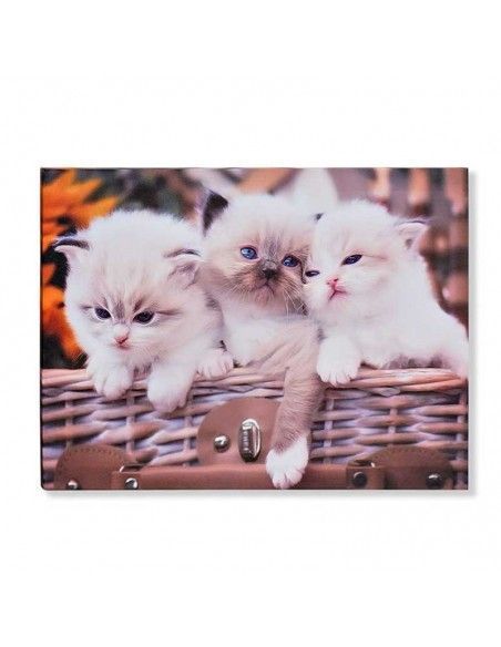 SET 3 CUADROS GATOS y PERRO 40x30
