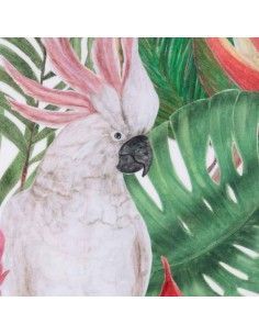 SET DE DOS CUADROS LORO CACATUA 62x62 2