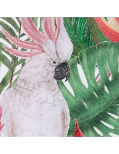 SET DE DOS CUADROS LORO CACATUA 62x62