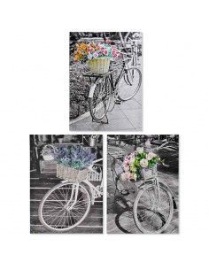 CUADRO BICICLETA SET DE TRES 70X50