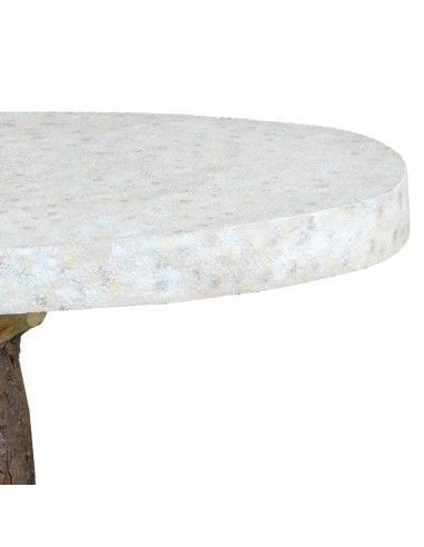 MESA TRONCO 64X114