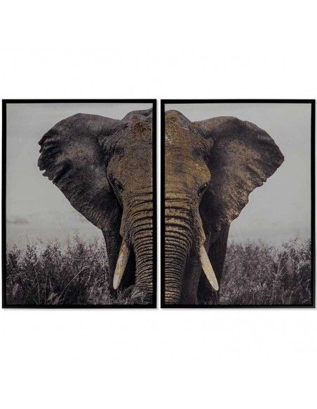CUADROS ELEFANTE 73X53