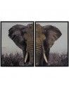 CUADROS ELEFANTE 73X53