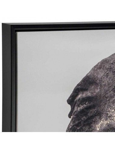 CUADROS ELEFANTE 73X53