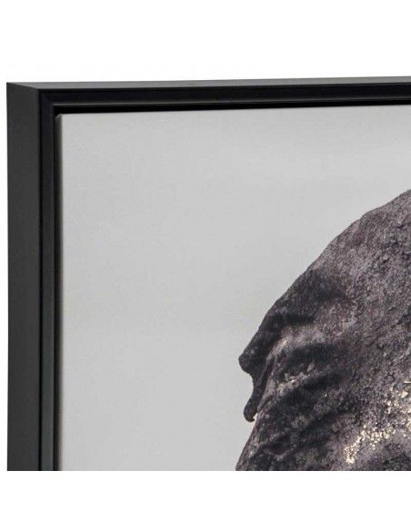 CUADROS ELEFANTE 73X53