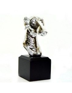 FIGURA GALGO