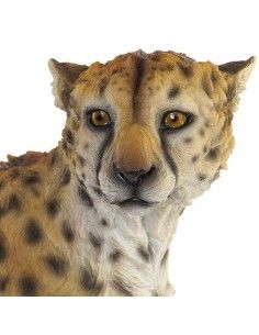 FIGURA LEOPARDO 42.4x69 2