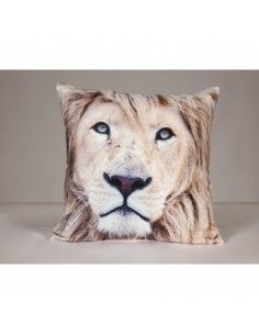 COJIN LEON ANTELINA