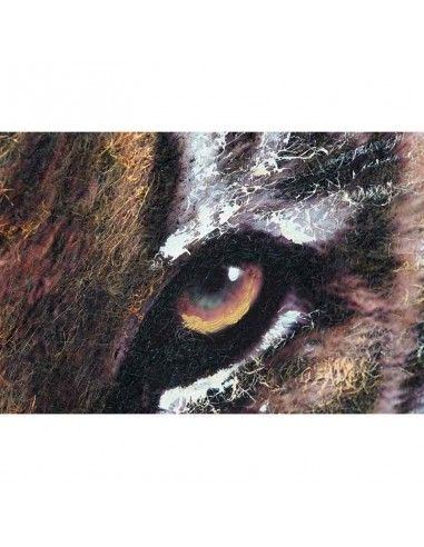CUADRO TIGRE - LEÓN 100x100