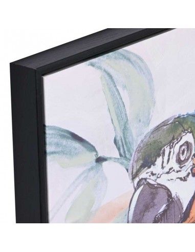 SET DE DOS CUADROS LORO Y CACATUA 70x50