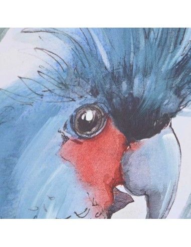 SET DE DOS CUADROS LORO Y CACATUA 70x50
