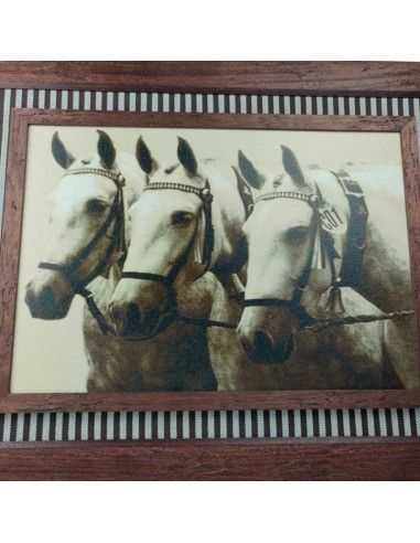CUADRO CABALLOS 73x93
