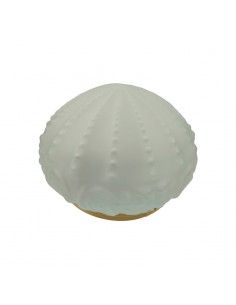 PLAFON DE TECHO CRISTAL... 2