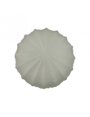 PLAFON DE TECHO CRISTAL BLANCO 22x32
