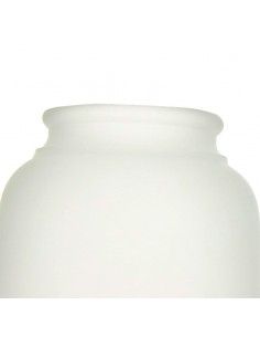 TULIPA CAMPANA BLANCO 14.5x15 2