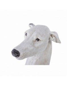 FIGURA GALGO 84x33 2