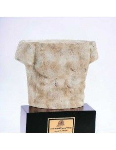 TROFEO TORSO HOMBRE 15x19 2