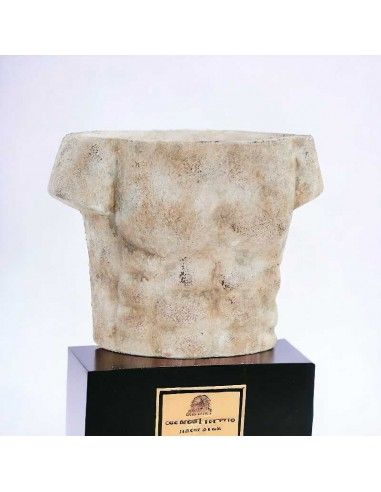 TROFEO TORSO HOMBRE 15x19