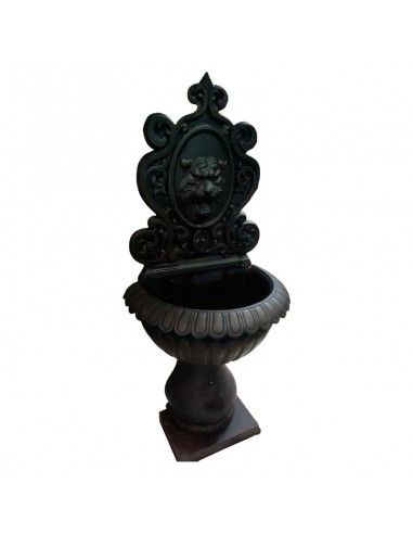 FUENTE CABEZA DE LEON HIERRO 150x67