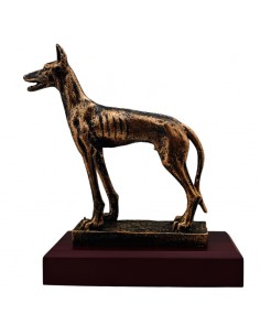 FIGURA PODENCO EN ATENCIÓN... 2